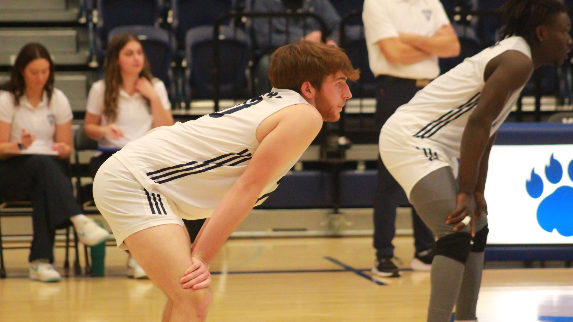 Men’s Volleyball Drops Match to No. 14 Campbellsville